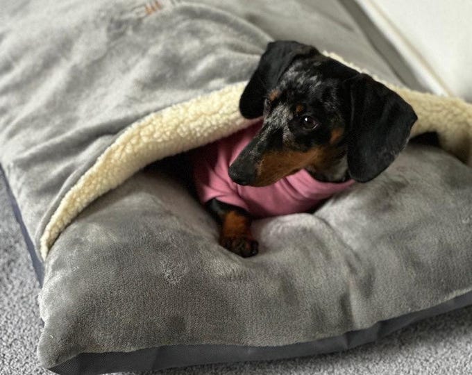 Featured listing image: Personalized Dachshund Snuggle Sack: Cuddle Fleece Dog Bed Cave
