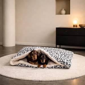 Puede incluir: Una acogedora cama para perros con un exterior estampado de leopardo y un interior suave de color crema. Dos perros salchicha están acurrucados dentro de la cama, creando un espacio cómodo y acogedor para mascotas. La cama está sobre una alfombra redonda color crema.