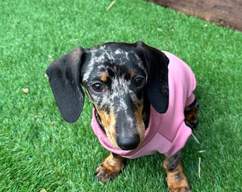 Dachshund Scuba Crepe Jumper: Washable Dog Tank Top
