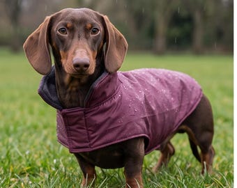 Abrigo impermeable para perros salchicha: impermeable ligero para perros con forro polar.