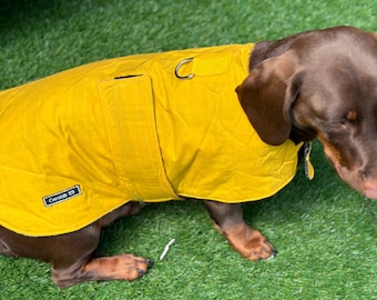Waxed Cotton Dachshund Dog Coat: Waterproof Fleece Lined Winter Wear