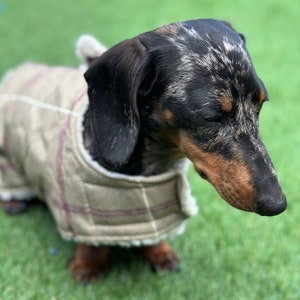 Rosewood X Joules Burra Brown Raincoat For Dogs, Small, Washable, Lightweight, Water-Resistant Dog Coat For Small Dogs