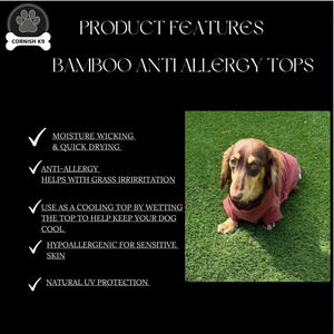 Bamboo Dog Onesie: Anti-Allergy Cooling Jumpsuit, Dachshund Pajamas image 11
