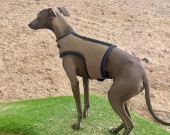 Italian greyhound harness ,dog harness ,made to measure dog harness ,no arm pit rub harness,rub free harness