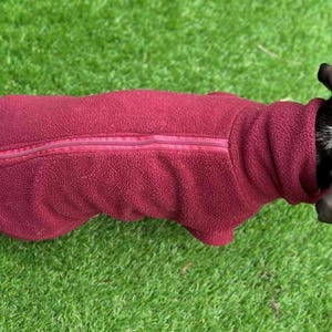 Dachshund Fleece Jumper: Water & Mud Repellent Dog Polo - Zip Design
