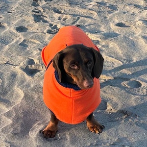 Può includere: Un bassotto marrone e nero con un cappotto in pile arancione in piedi su una spiaggia sabbiosa.