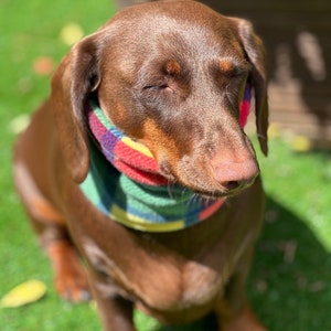 Dachshund Tartan Fleece Snood: Dog Neck Warmer