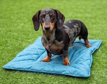 May include: A dapple dachshund with black, brown, and grey fur standing on a square, light blue quilted pet mat. The dog has long, floppy ears and a short-legged build, positioned centrally on the flat, stitched fabric surface.