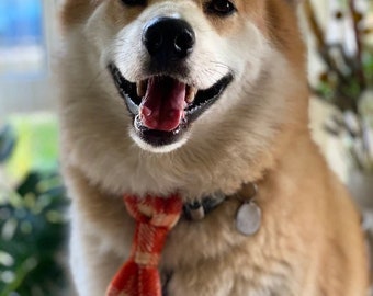 Harris Tweed dog tie , tweed ties   ,ready to ship ,gift for pet lover,pet accessories