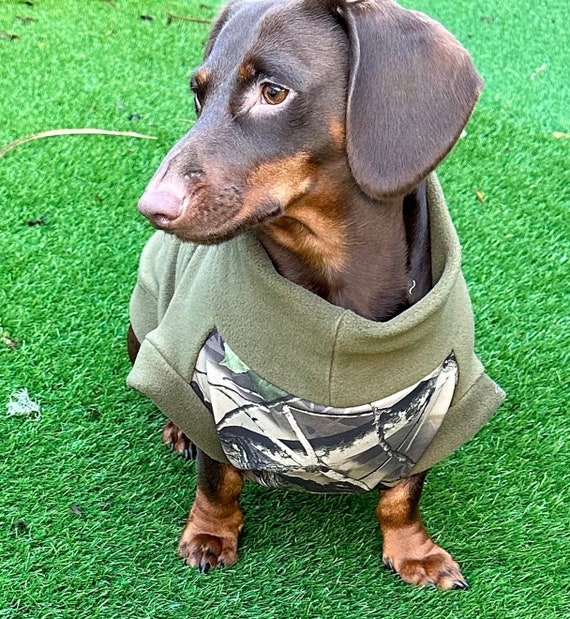 Water-resistant Dachshund Fleece Jumper: Softshell Tummy, Leaf