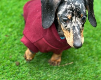 Waterproof Softshell Dachshund Fleece Jumper: Mud & Water Repellent
