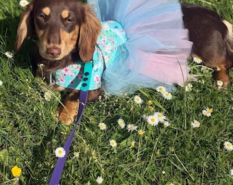 Dachshund Tutu Dog Dress: Made-to-Order Cotton Tunic
