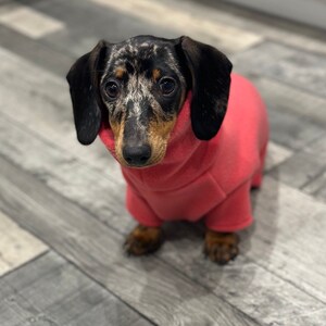 May include: A black and brown dachshund wearing a pink fleece sweater. The dog is looking at the camera.