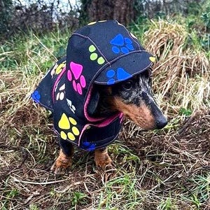 Waterproof Dachshund Raincoat: Fleece Lined Hooded Dog Coat