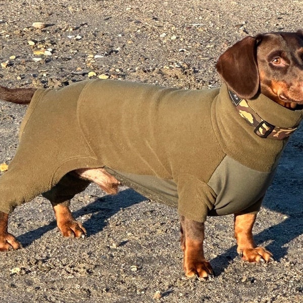 Dachshund onesie with waterproof tummy,dog jumper,dachshund jumpsuit ,dachshund fleece ,washable dog jumper,water& mud repellent dog suit