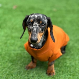 Dackel Baumwoll Jersey Hundepullover: Atmungsaktives Kühltop