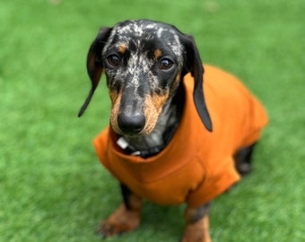Dachshund Cotton Jersey Dog Jumper: Breathable Cooling Top