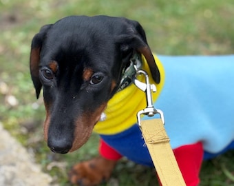 Miniature Dachshund Fleece Onesie: Water Repellent Dog Jumpsuit