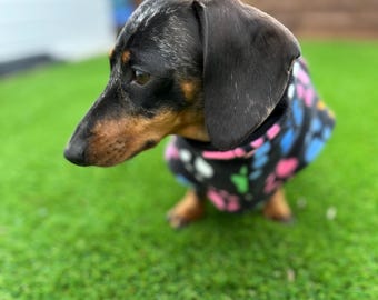 Fleece Dachshund Coat: Water Repellent Dog Jumper, Custom Fit