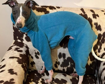 Pyjama pour whippet new arrivals