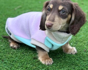 Personalized Dachshund Fleece Jumper: Water & Mud Repellent, Embroidered Name