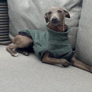 Boucle Fleece Italian Greyhound Jumper: Cozy Thermal Dog Fleece