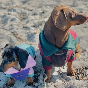 Dachshund  zipped neck  fleece ,dog jumper,dachshund legged jumper ,dachshund jumper , dachshund fleece,dachshund fleece jacket
