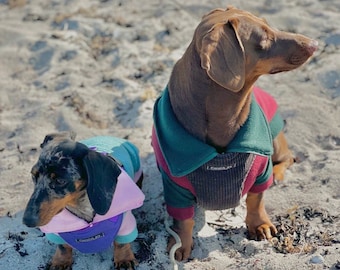 Dachshund Fleece Jumper: Two-Tone Zip Neck, Front Legs