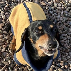 Dachshund zipped Fleece jumper ,dachshund  tankies, dog jumper, dog fleece ,washable dog jumper,ivdd jumper,dachshund fleece