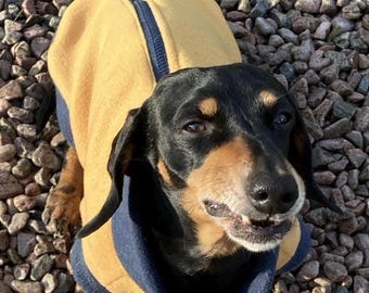 Dachshund Fleece Jumper: Water Repellent Dog Coat