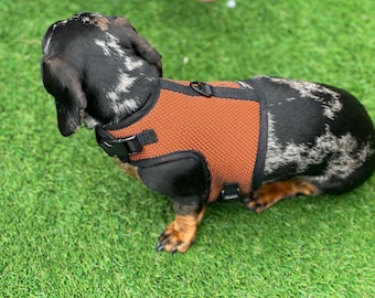 Dachshund harness ,dog harness ,dachshund dog vest ,no arm pit rub harness,rub free harness