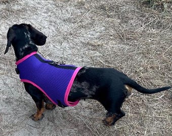 Dachshund harness ,dog harness ,dachshund dog vest ,no arm pit rub harness,rub free harness