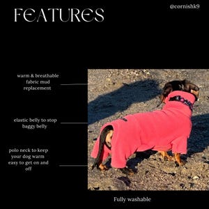 Miniature Dachshund Fleece Onesie: Water Repellent Dog Jumpsuit image 8