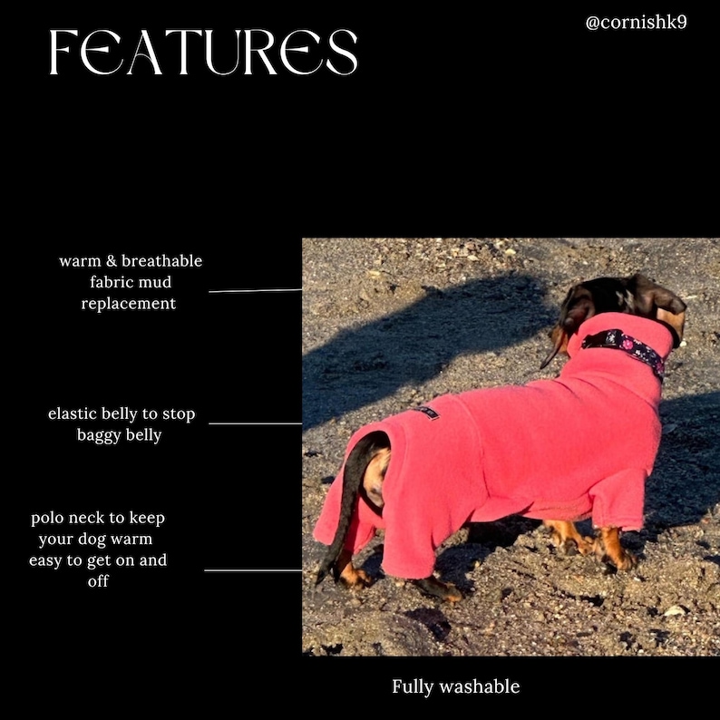 Miniature Dachshund Fleece Onesie: Water Repellent Dog Jumpsuit image 8