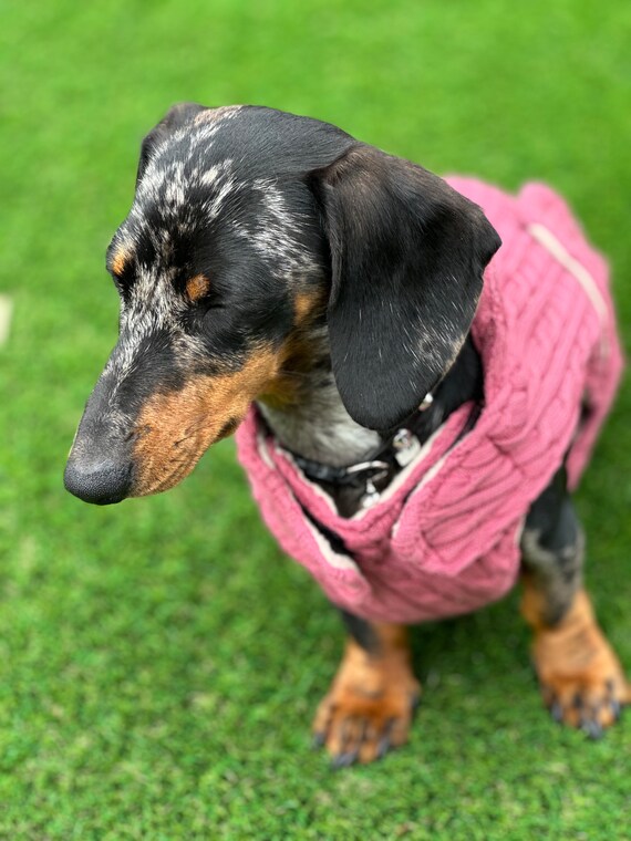 ケーブルニットのダックスフンドコート：フリース裏地付き犬用 