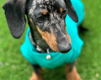 Dachshund Lycra Cooling Top: Moisture-Wicking Dog Jumper