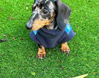Waterproof Softshell Dachshund Fleece Jumper: Galaxy Print, Warm Tummy Protection