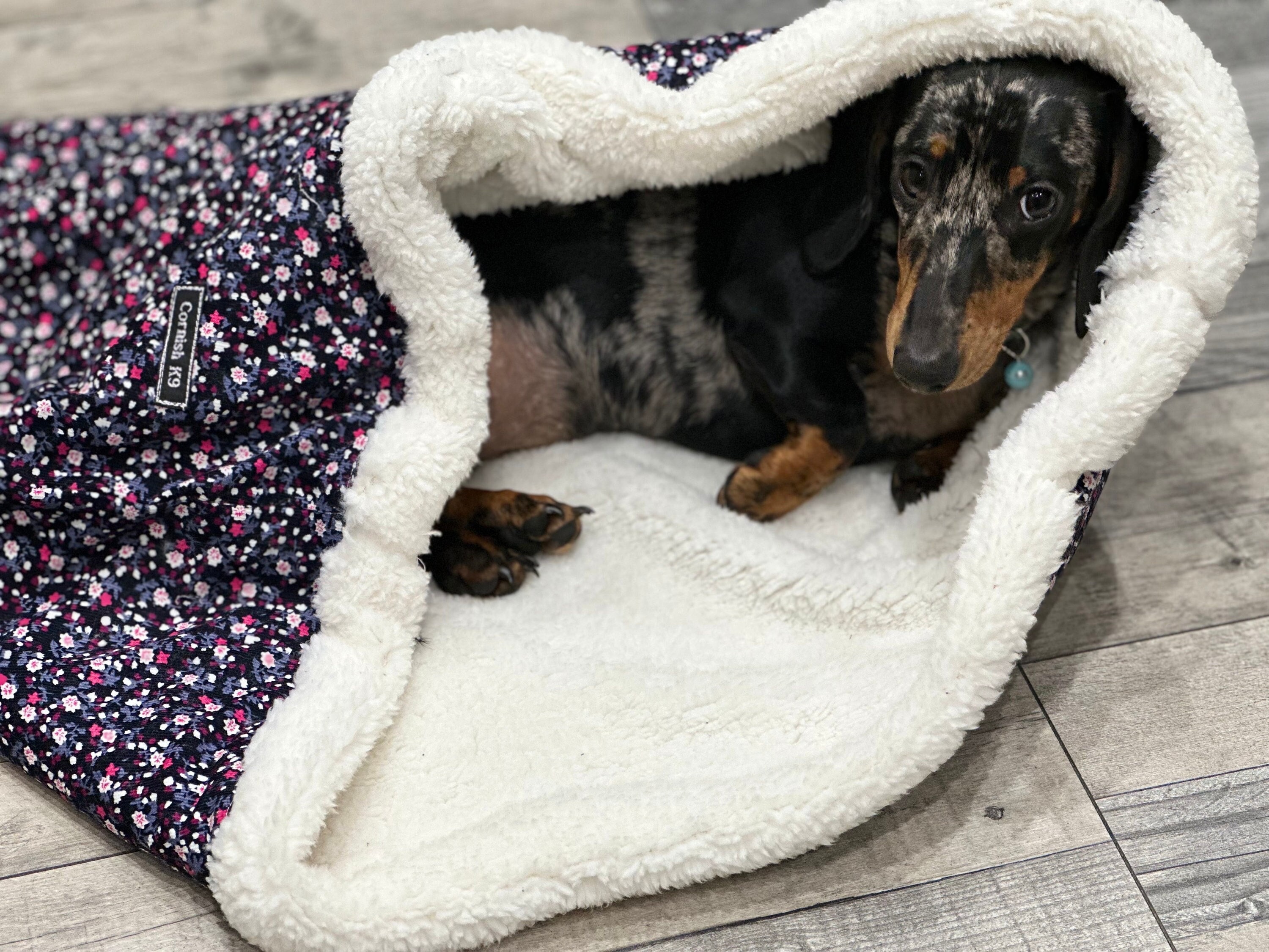 Corduroy dog snuggle sack padded dog snuggle sack dog bed cave dachshund snuggle sack Italian greyhound snuggle sack