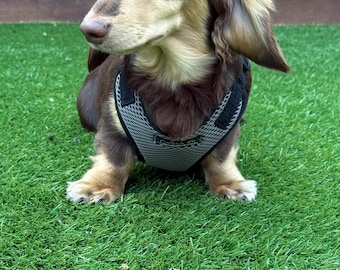 Dachshund spacer  harness,padded dog harness,no choke harness,chest harness, harness