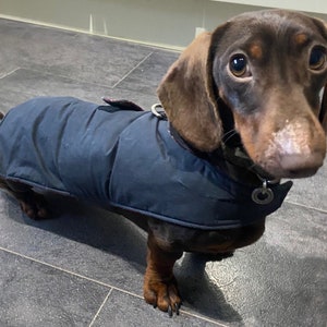 Dachshund wax dog coat, waterproof dog coat, shower proof dog coat ,winter dog coat , pet accessories,small dog coat