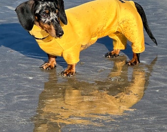 Dachshund waterproof oneise ,waterproof dog jumper,dachshund jumpsuit ,dachshund suit ,washable dog jumper,water& mud repellent dog suit