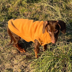 Dachshund Fleece coat ,dog jumper ,breathable dog jumper, dog jacket,washable dog jumper,Water & Mud Repellent dog suit