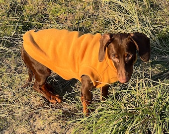 Personalized Dachshund Fleece Dog Jumper: Water Repellent, Breathable