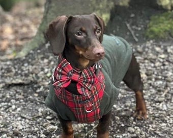 Conjunto de arnés para perro salchicha con estampado de tartán: acolchado de forro polar, diseño antiahogo.