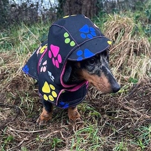 Dachshund waterproof dog coat ,  dog rain coat ,hooded dog coat , dachshund raincoat coat , dog jacket, wind proof