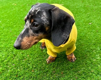 Bamboo Dog Onesie: Anti-Allergy Cooling Jumpsuit, Dachshund Pajamas