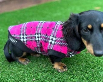 Dachshund fleece jumper ,dog jumper ,breathable dog jumper, dog jacket,washable dog jumper,Water & Mud Repellent dog suit