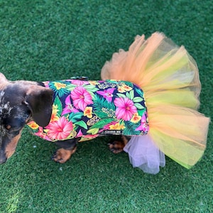 Dachshund Tutu Dog Dress: Handmade Cotton Party Outfit