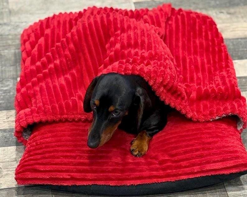 Sleeping Cave Canada