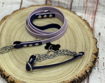 Waterproof Biothane Dog Collar & Lead Set: Silver Hardware, Small (11-13 inch neck)